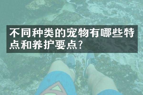不同种类的宠物有哪些特点和养护要点?