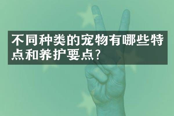 不同种类的宠物有哪些特点和养护要点?