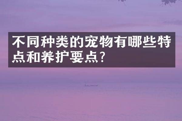 不同种类的宠物有哪些特点和养护要点?