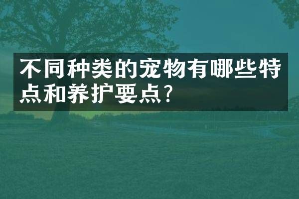 不同种类的宠物有哪些特点和养护要点?