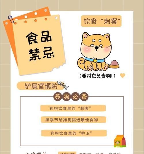宠物狗的健康饮食秘诀（狗狗饮食的关键要素与注意事项）