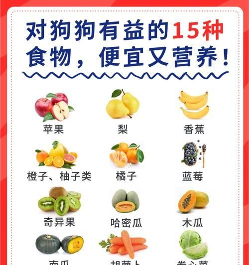 宠物狗的健康饮食秘诀（狗狗饮食的关键要素与注意事项）