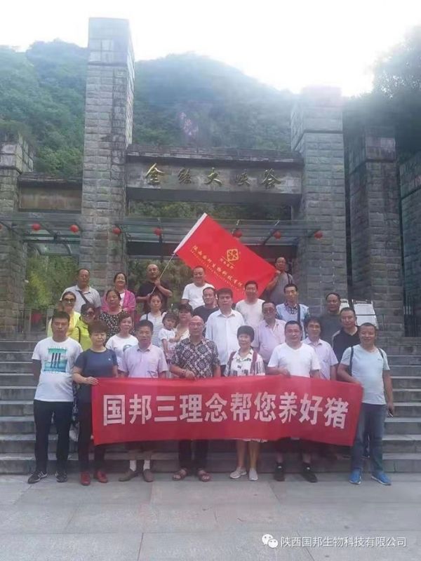 母猪的健康决定小猪的未来