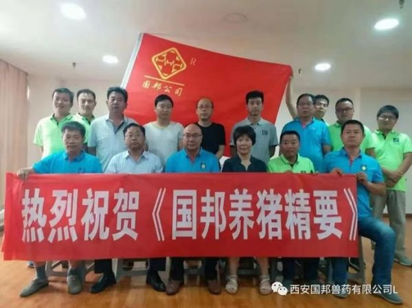 母猪的健康决定小猪的未来