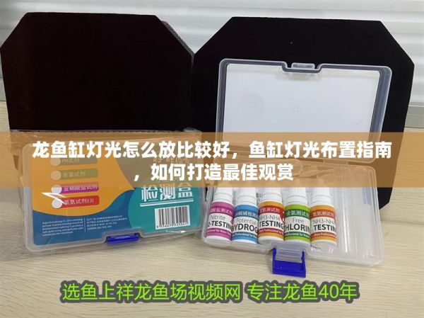 龙鱼缸灯光怎么放比较好,鱼缸灯光布置指南,如何打造最佳观赏