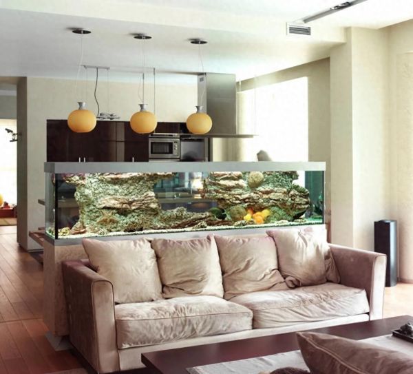 鱼缸布置的5大禁忌,第3条太多人忽略了-派特超人-宠物