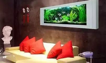 图解家居风水鱼缸,应如何摆放才能招财进宝,别瞎摆,弄巧成拙