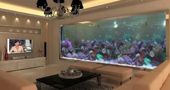 图解家居风水鱼缸,应如何摆放才能招财进宝,别瞎摆,弄巧成拙