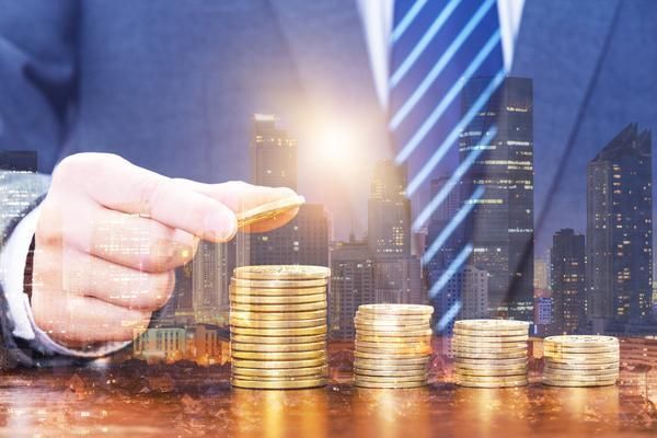 宠物体检创业项目:市场机遇与融资路径 图1