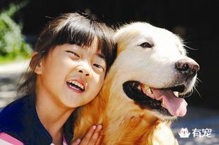 宠物狗怎么让它吃蔬菜呢