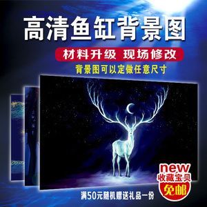 金龙鱼鱼缸背景墙效果图(金龙鱼鱼缸背景墙文化寓意,鱼缸背景墙设计原则详解) 水族百科 第2张