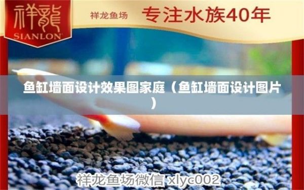 金龙鱼鱼缸背景墙效果图(金龙鱼鱼缸背景墙文化寓意,鱼缸背景墙设计原则详解) 水族百科 第3张