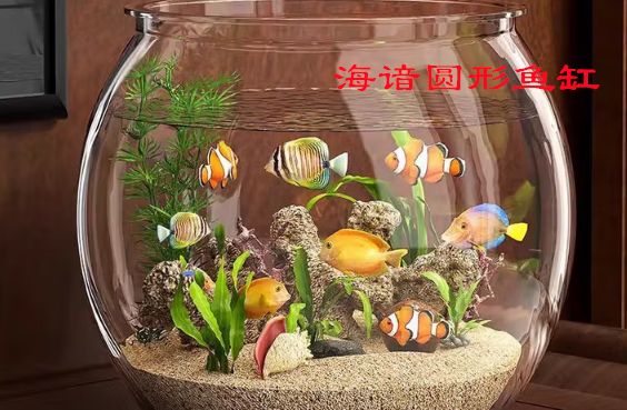 海谙圆形鱼缸:简约设计中的自然美学