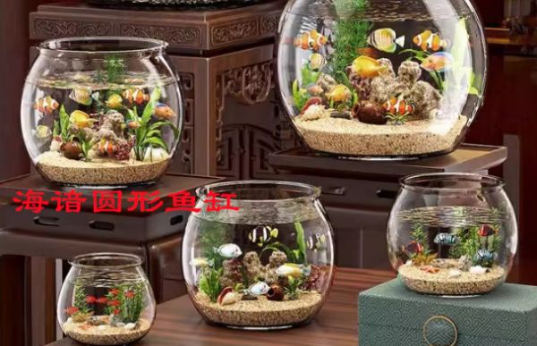 海谙圆形鱼缸:简约设计中的自然美学