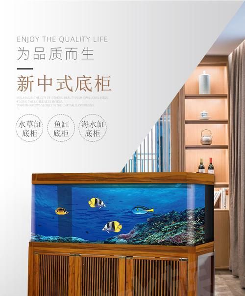 选择草缸底柜,打造舒适鱼缸环境(以草缸用什么底柜好?-打造理想的水草缸装饰)