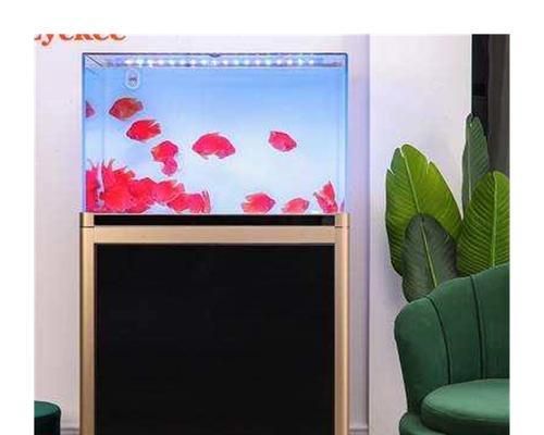 选择草缸底柜,打造舒适鱼缸环境(以草缸用什么底柜好?-打造理想的水草缸装饰)