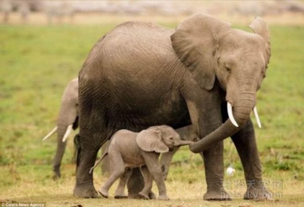 最幸福的时光 就是小时候在妈妈的身边(24张)