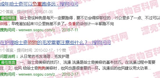 狗狗负重训练多少-第2张图片-漂亮宠物百科网