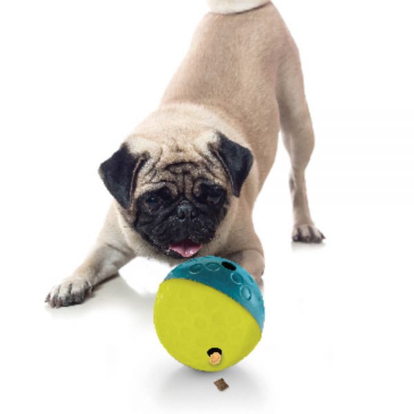 Outward Hound|益智翻滾球