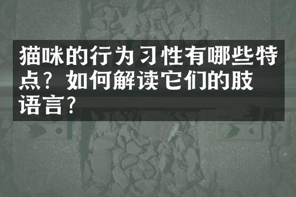 猫咪的行为习性有哪些特点?如何解读它们的肢体语言?