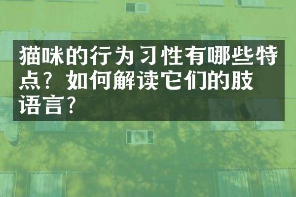 猫咪的行为习性有哪些特点?如何解读它们的肢体语言?