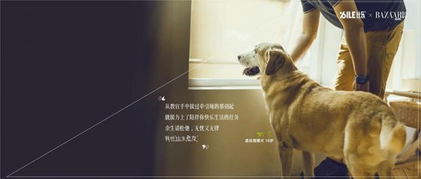 ILE比乐× BAZAAR(芭莎宠爱联动图)