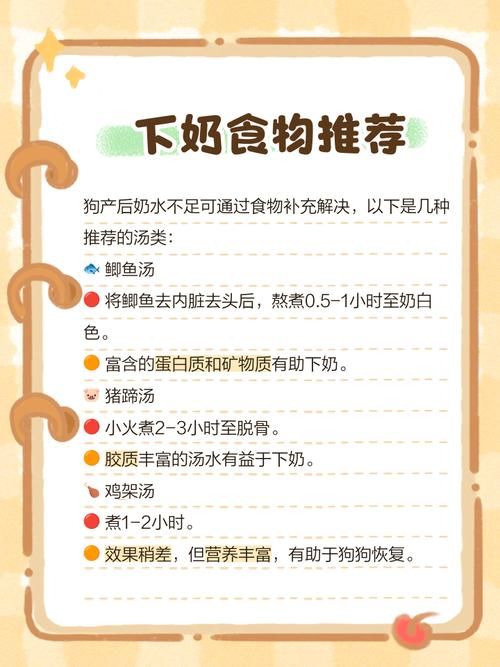 小狗生产完吃什么下奶(狗子生产完吃什么)