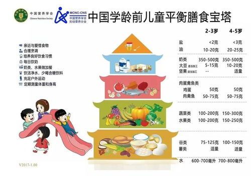 产后宠物健康饮食,科学喂养指南