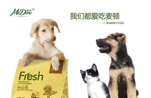 自制狗粮,呵护宠物健康从饮食开始