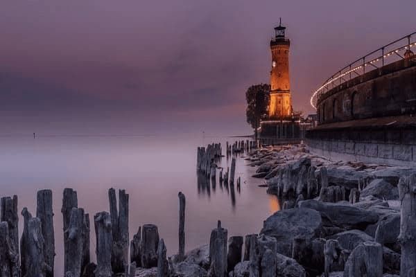 比熊犬5周要怎么养,比熊犬5周要怎么养才能长大