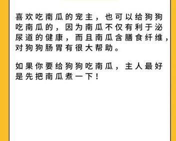 狗狗肠胃不好的表现及调整方法(了解狗狗肠胃问题的迹象,帮助狗狗恢复健康)