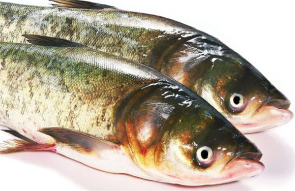 鳙鱼到底好不好吃?刺多不多