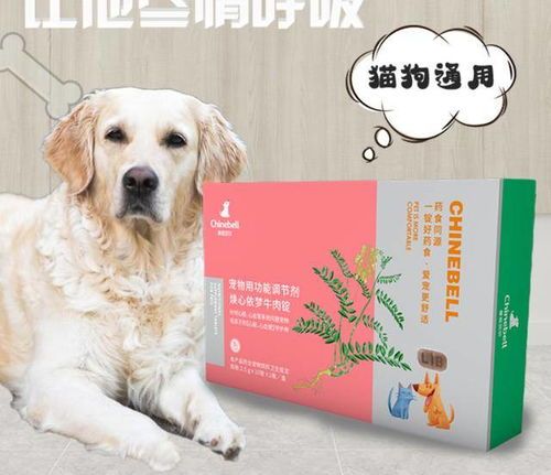 老年人狗心脏病的饮食