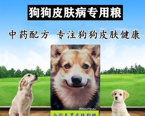 狗狗处方粮的价格(以宠物健康为重)