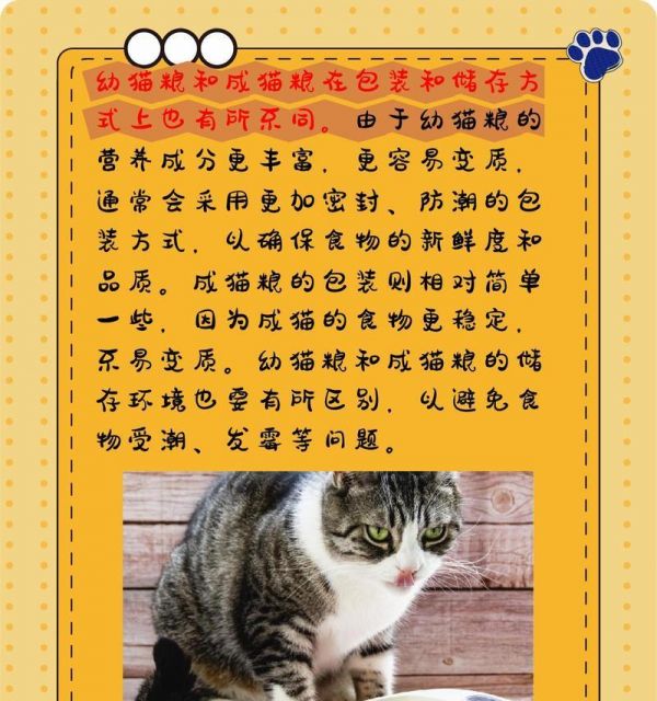 幼猫粮与成猫粮有何不同?