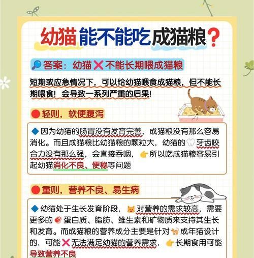 幼猫粮与成猫粮有何不同?