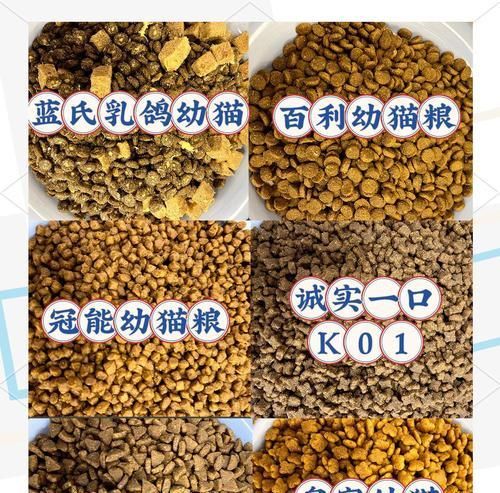 幼猫粮与成猫粮有何不同?