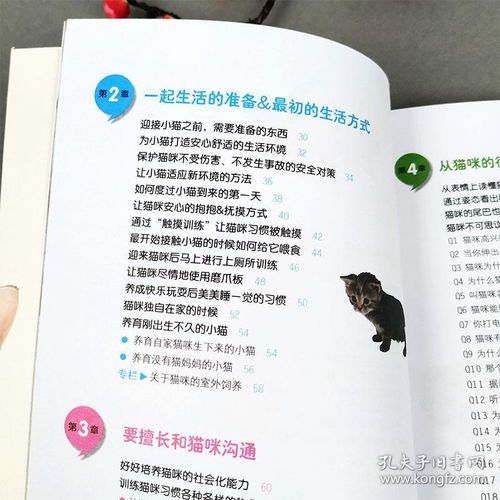 宠物小猫健康护理指南