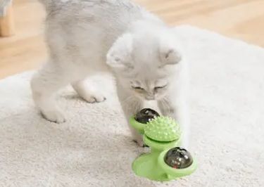 宠物用品品牌“听宠”盛大来袭