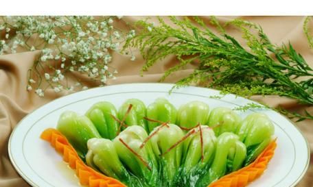 针嘴鱼的饲养技巧(了解针嘴鱼的生态习性,让它健康成长)