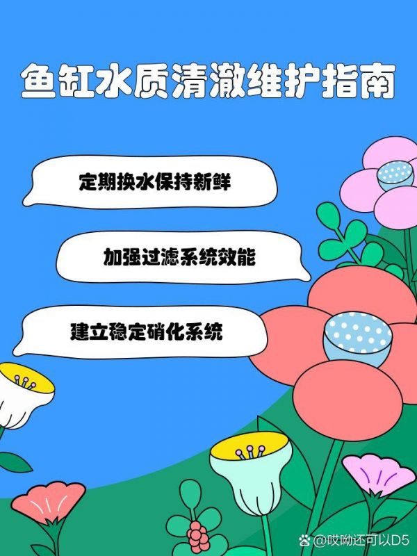 秦皇岛鱼缸维护:秦皇岛鱼缸维护全攻略 全国水族馆企业名录 第3张