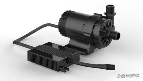 秦皇岛鱼缸维护:秦皇岛鱼缸维护全攻略 全国水族馆企业名录 第7张