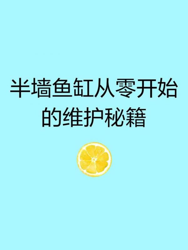 秦皇岛鱼缸维护:秦皇岛鱼缸维护全攻略 全国水族馆企业名录 第11张