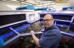 罗汉鱼缸内蹭缸问题解决方案:专业护理技巧大揭秘!