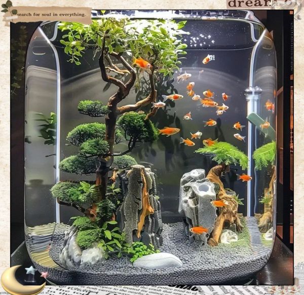 桂林鱼缸维护:桂林鱼缸维护全攻略 全国水族馆企业名录 第6张