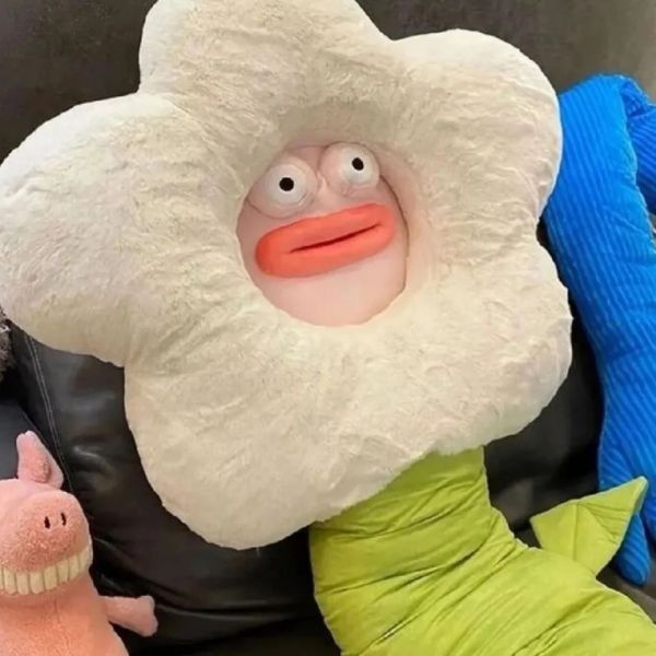 桂林鱼缸维护:桂林鱼缸维护全攻略 全国水族馆企业名录 第7张