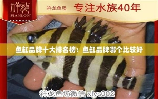 鱼缸的品牌有哪些,鱼缸品牌性价比对比水族箱维护技巧分享