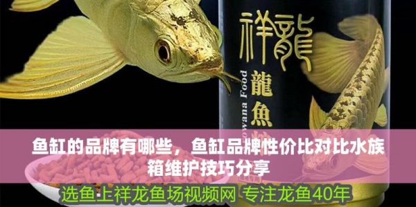 鱼缸的品牌有哪些,鱼缸品牌性价比对比水族箱维护技巧分享