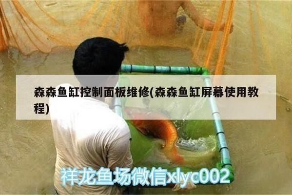 森森牌鱼缸使用说明书:森森牌鱼缸日常维护技巧分享森森牌鱼缸使用说明书