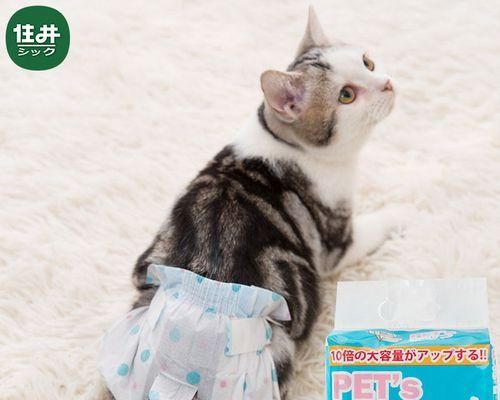 猫咪尿道不通症状及治疗方法(揭秘猫咪尿道疾病的真相)